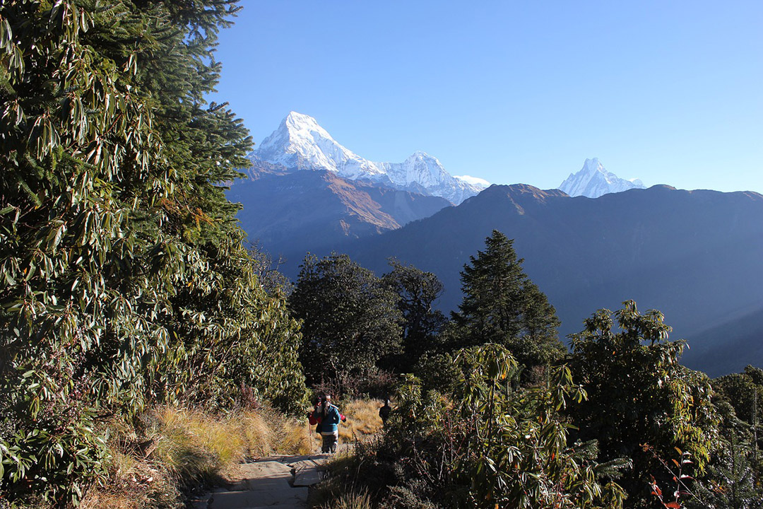 Poon Hill Trek